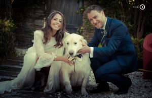 mascota boda